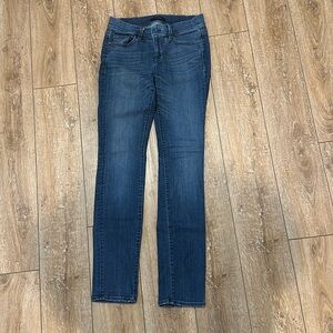 Ann Taylor The Skinny Modern Fit Jeans Size 12